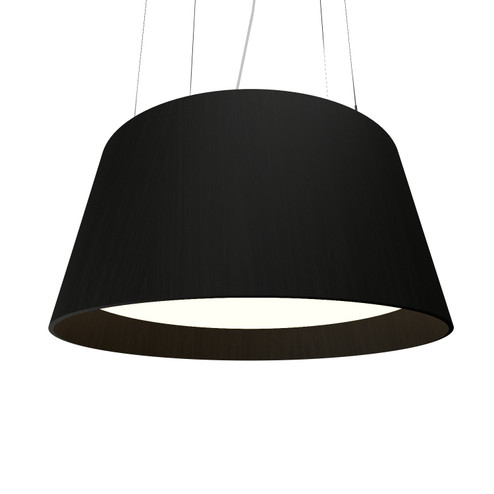Conical LED Pendant in Charcoal (486|258LED.44)