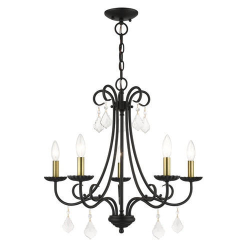 Daphne Five Light Chandelier in Black with Antique Brass (107|40875-04)