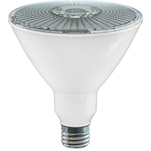 Light Bulb (418|PAR38-12W-MCT5-D-WP)