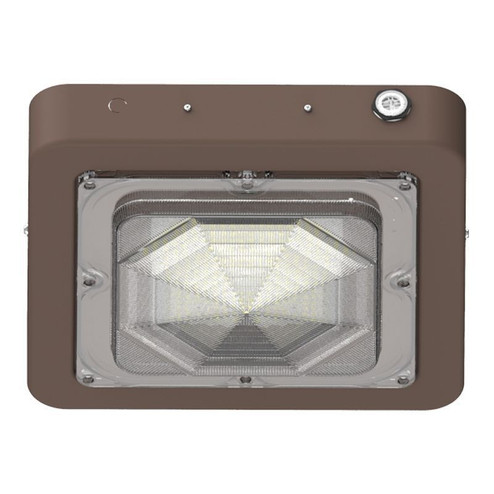 Canopy Light in Bronze (418|CXES-30-60W-MCTP)