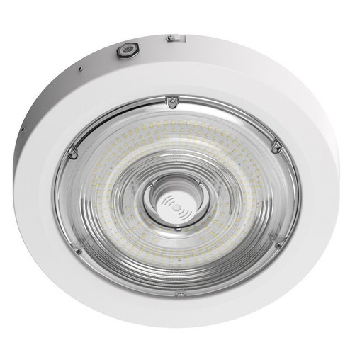 Canopy Light in White (418|CXER-40-80W-MCTP-SR-EM-WH)