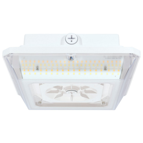 LED Wide Beam Angle Canopy in White (72|65-635)