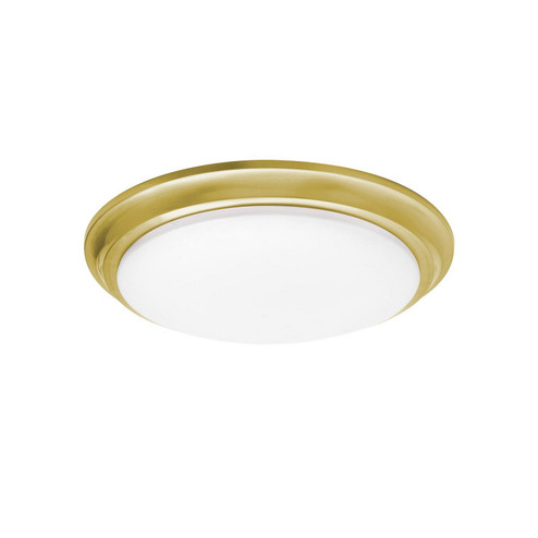 Baron LED Flush Mount in Satin Brass (162|BRNF14LAJD1SB)