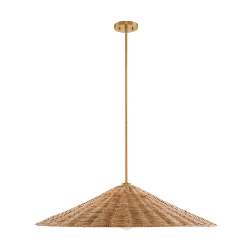 One Light Pendant in Natural Brass (446|M7042NB)