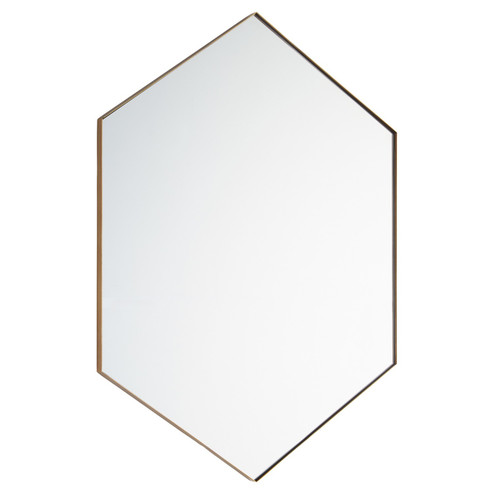 Hexagon Mirrors Mirror in Gold Finished (19|13-2434-21)