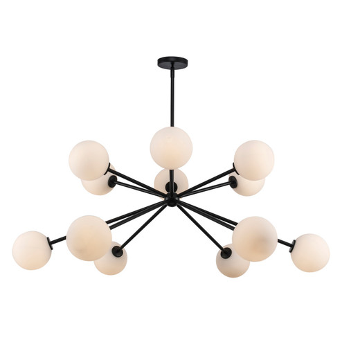 12 Light Chandelier in Black (110|11619 BK)