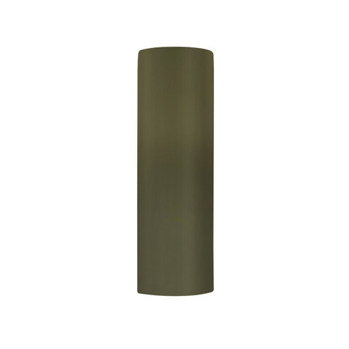 Ambiance One Light Outdoor Wall Sconce in Matte Green (102|CER-5400W-MGRN)