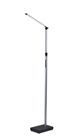 Lennox LED Floor Lamp in Black & Silver (262|SL4907-01)