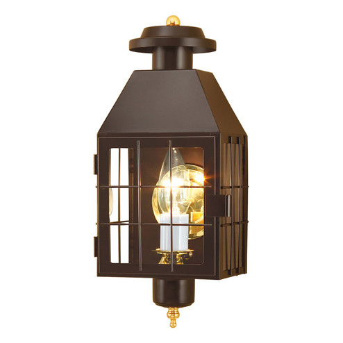 American Heritage One Light Outdoor Wall Sconce in Bronze (45|1059-BR-CL)