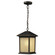 Holbrook One Light Outdoor Chain Mount in Oil Rubbed Bronze (224|507CHM-ORB)