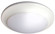 Disk Light in White (418|DLS6-MCT)