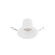 Blaze LED Downlight in White (34|R6DRDN-F9CS-WT)