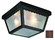 Samantha Two Light Flushmount Lantern in Rust (110|4902 RT)