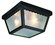 Samantha Two Light Flushmount Lantern in Black (110|4902 BK)