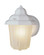 Dale One Light Wall Lantern in White (110|4160 WH)