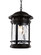 Boardwalk One Light Hanging Lantern in Black (110|40376 BK)