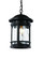 Boardwalk One Light Hanging Lantern in Black (110|40375 BK)