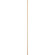 60 in. Downrods Downrod in Aged Brass (19|6-6080)