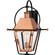Rue De Royal One Light Outdoor Wall Lantern in Aged Copper (10|RO8418AC)