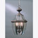 Newbury Four Light Outdoor Hanging Lantern in Medici Bronze (10|NY1180Z)