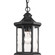 Edition One Light Hanging Lantern in Black (54|P6529-31)