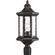 Edition One Light Post Lantern in Antique Bronze (54|P6429-20)