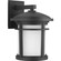 Wish Led LED Wall Lantern in Black (54|P6085-3130K9)