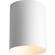 Cylinder One Light Outdoor Ceiling Mount in White (54|P5774-30)