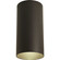 Cylinder One Light Outdoor Ceiling Mount in Antique Bronze (54|P5741-20)