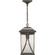 Abbott One Light Hanging Lantern in Antique Bronze (54|P550040-020)
