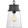 Greene Ridge One Light Hanging Lantern in Textured Black (54|P550033-031)