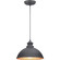 Englewood One Light Hanging Lantern in Black (54|P550032-031)