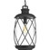 Hollingsworth One Light Hanging Lantern in Black (54|P550029-031)