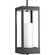 Patewood One Light Hanging Lantern in Black (54|P550024-031)