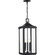 Gibbes Street Three Light Hanging Lantern in Black (54|P550004-031)