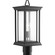 Endicott One Light Post Lantern in Black (54|P5400-31)