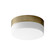 Zuri LED Ceiling Mount in Aged Brass (440|32-630-40)