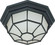 Spider Cage Textured Black One Light Ceiling Mount in Textured Black (72|60-536)