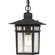 Cove Neck One Light Hanging Lantern in Textured Black (72|60-4956)