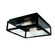 Capture Two Light Outdoor Flush Mount in Matte Black (185|1184-MB-CL)