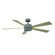 Wynd 60''Ceiling Fan in Graphite/Weathered Gray (441|FR-W1801-60L35GHWG)