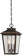 Irvington Manor Three Light Outdoor Chain Hung in Chelesa Bronze (7|72174-189)