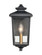 Eldrick One Light Outdoor Hanging Lantern in Powder Coat Black (59|4641-PBK)