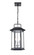 Ellis Three Light Outdoor Hanging Lantern in Powder Coat Black (59|2687-PBK)