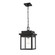 Belle Chasse One Light Outdoor Hanging Lantern in Powder Coat Black (59|2665-PBK)