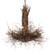 Twigs Six Light Chandelier in Bronze,Natural Wood (57|226214)