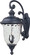 Carriage House DC Three Light Outdoor Wall Lantern in Oriental Bronze (16|3498WGOB)