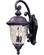 Carriage House DC Two Light Outdoor Wall Lantern in Oriental Bronze (16|3496WGOB)