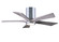 Irene 42''Ceiling Fan in Polished Chrome (101|IR5HLK-CR-BW-42)