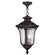 Oxford Three Light Outdoor Pendant in Bronze (107|7858-07)